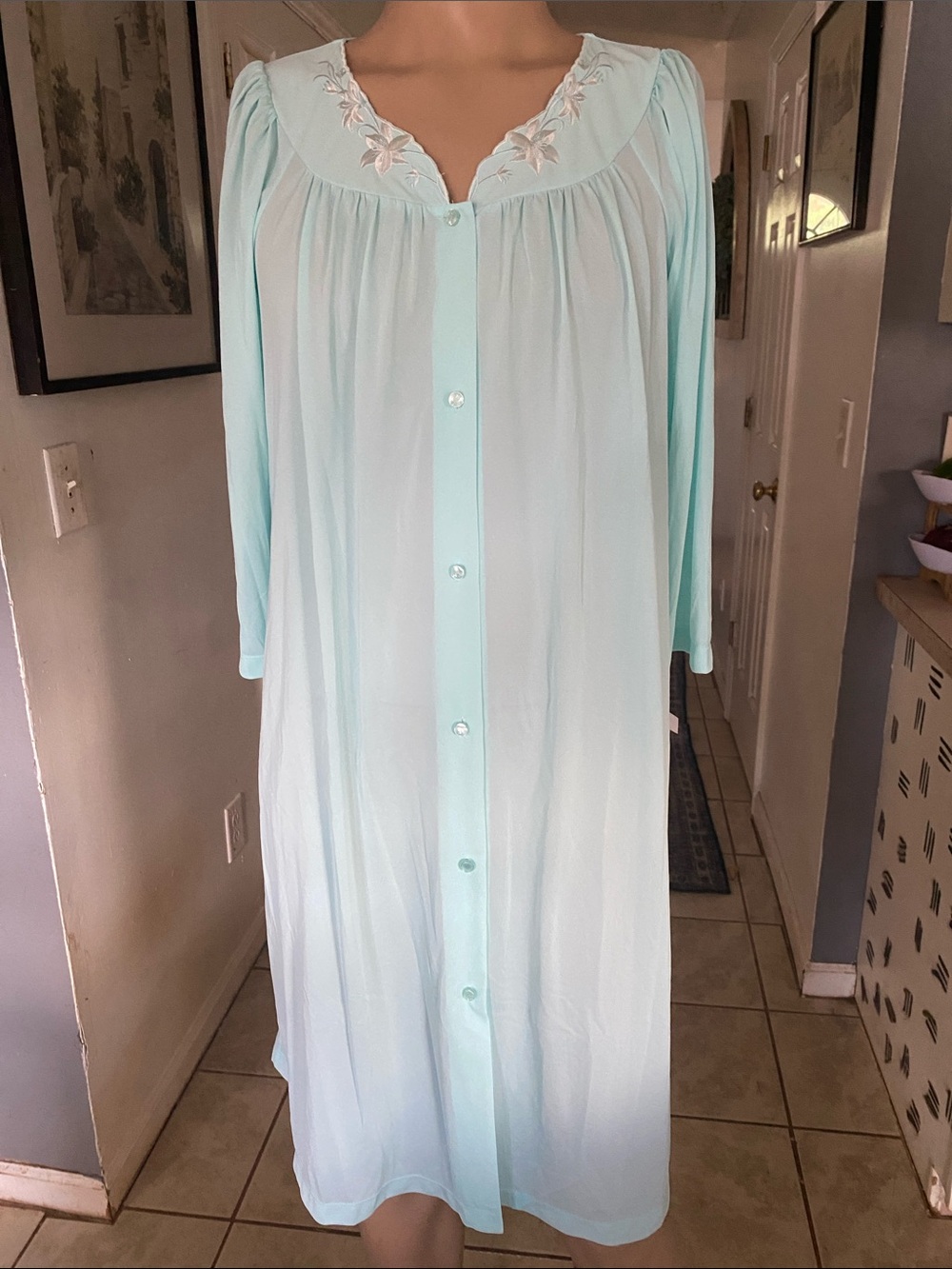 Miss Elaine Mint Blue Button-Front Long Nightgown with Embroidered Yoke
